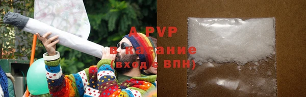 стафф Бородино