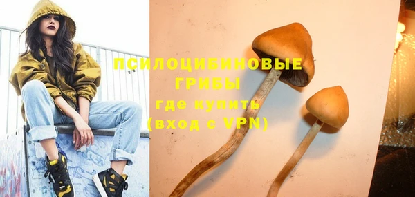 дживик Бугульма