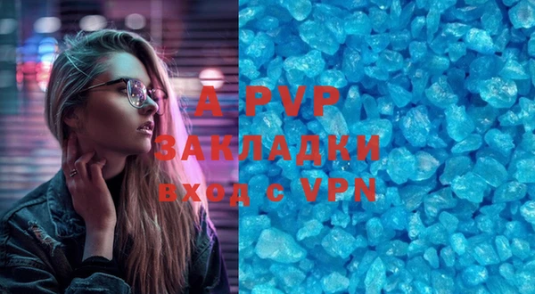 стафф Бородино