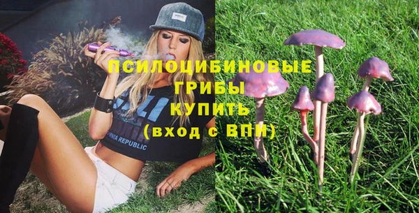 дживик Бугульма