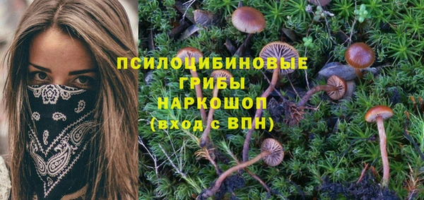 дживик Бугульма