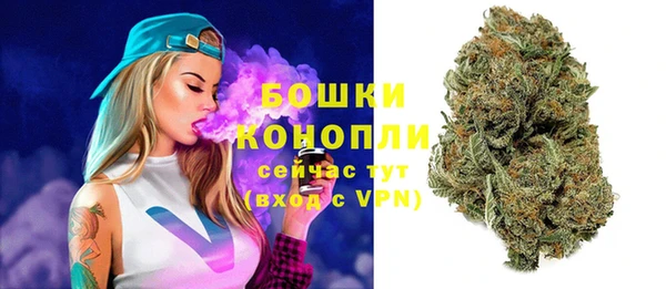стафф Бородино