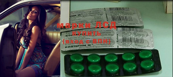 стафф Бородино