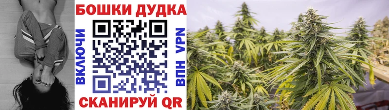 где можно купить наркотик  Выборг  кракен зеркало  Марихуана индика 